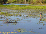 Links for Litchfield National Park, Uluru, Darwin, Kakadu National Park, much more on Northern Territory